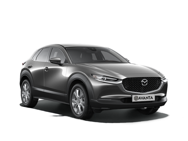 Mazda CX-30 Серый