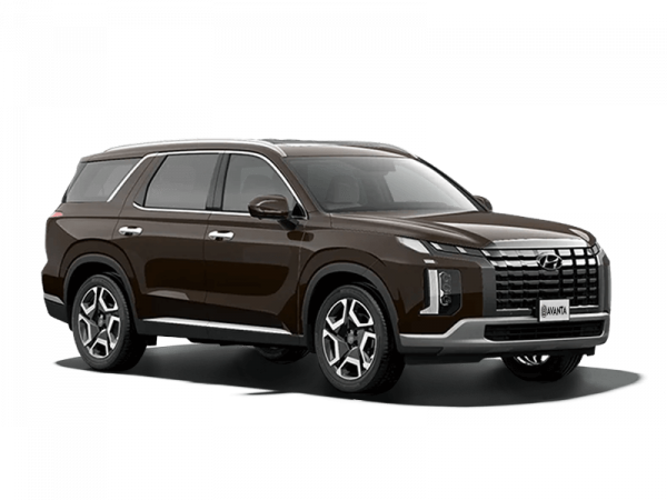 Hyundai Palisade Коричневый